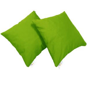 Scater Cushions Lime